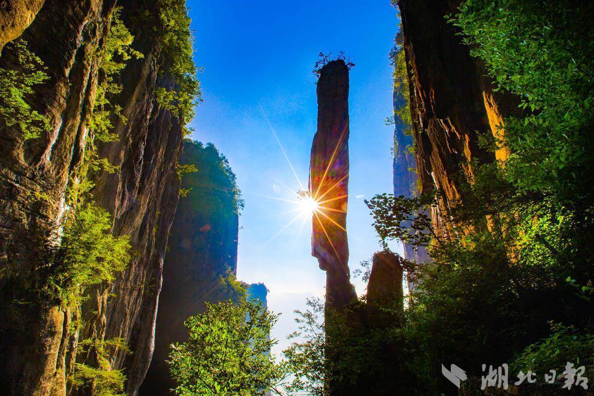 汇丰在线游戏